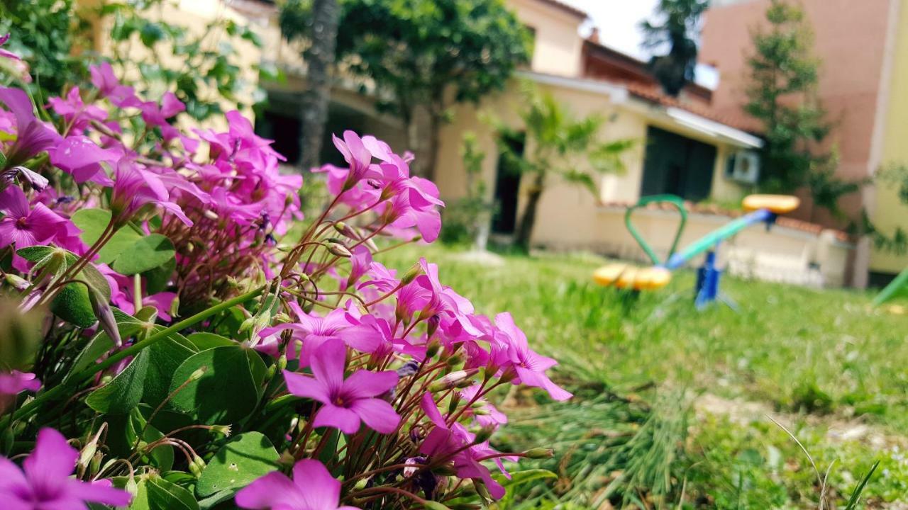 Apartmani Koin Медулин Екстериор снимка
